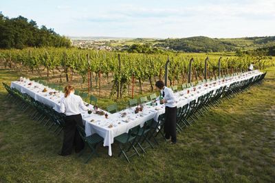 2013 wird 26 mal zum „Tafeln im Weinviertel“ geladen 2013 wird 26 mal zum „Tafeln im Weinviertel“ geladen