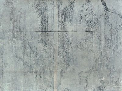 sebastian nebe der neue morgen ausstellung sebastian nebe der neue morgen ausstellung