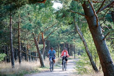 Fahrradfahren auf der Kurischen Nehrung Fahrradfahren auf der Kurischen Nehrung