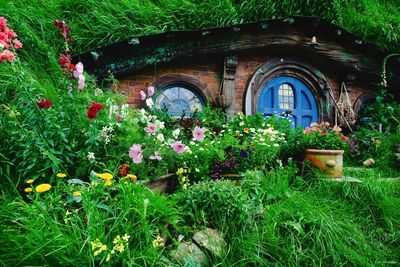 Hobbithaus Neuseeland