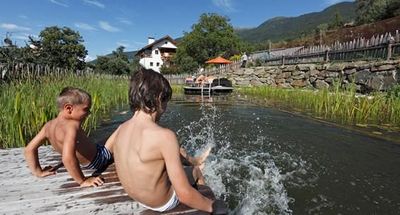 Für eine kühle Erfrischung an heißen Sommertagen sorgen auf zahlreichen Südtiroler Bauernhöfen des Qualitätssiegels „Roter Hahn“ Naturbadeteiche und Pools zum Schwimmen sowie Planschen