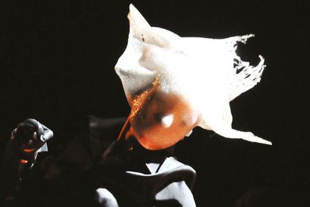 Die Rhythmen der „sprechenden“ Trommel der afrikanischen Yoruba, Körper im Taumel, einem Gott huldigend: In dem beninisch-italienischen Tanztheaterstück „Du Mythe du Dieu Argent – Vom Mythos des Gottes Geld“  erzählt das Ensemble Dialogues Inévitables von der Macht des Geldes.