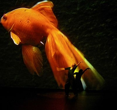 Pina Bausch tanzt ein Solo in Danzon