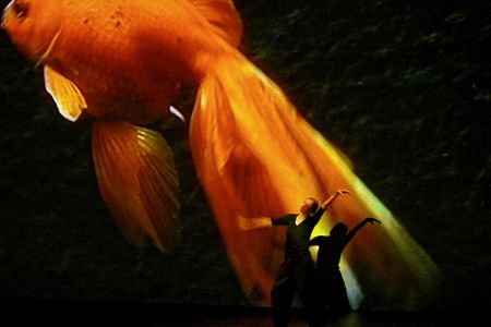 Pina Bausch tanzt ein Solo in Danzon