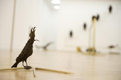ausstellung bonn ausstellung bonn