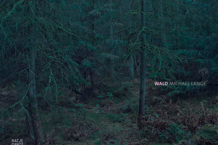 Michael Lange "Wald" - Der Wald in malerischen Fotografien