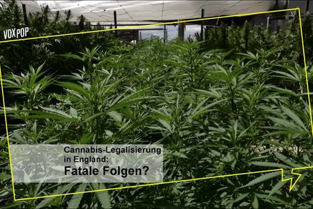 Nur 46 % der Deutschen stimmen Cannabis-Legalisierung zu