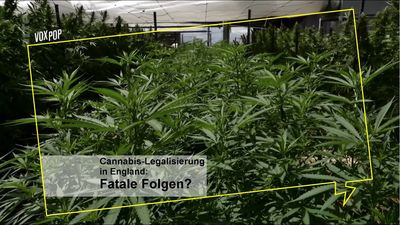 Nur 46 % der Deutschen stimmen Cannabis-Legalisierung zu