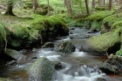 Flusslandschaft im Fichtelgebirge