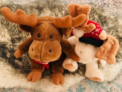 Die Elche Rocky und Erna aus der GFDK Reise und Urlaubs-Redaktion freuen sich schon auf den Winter Uraub in Kanada