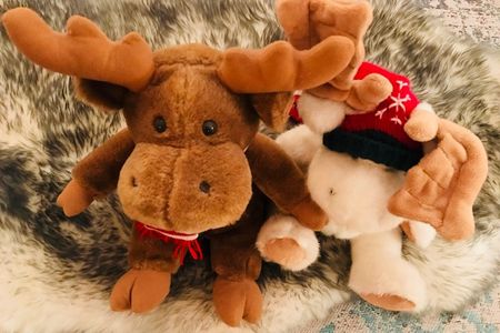 Die Elche Rocky und Erna aus der GFDK Reise und Urlaubs-Redaktion freuen sich schon auf den Winter Uraub in Kanada