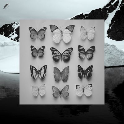 Christian Loeffler veroffentlicht Album Young Alaska