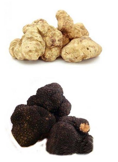 Trueffelprodukte von Buon Gusto