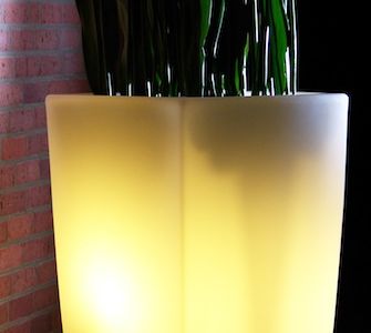 Degardo Trevia gold
