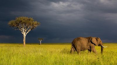 Reisefotograf Florian Kaelber