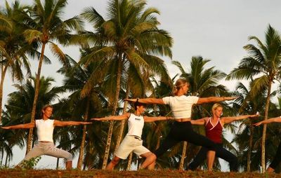 Yoga unter Palmen