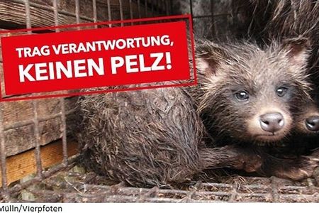 Engelhorn tritt dem Fur Free Retailer Program bei VIER PFOTEN begrüßt das Mannheimer Mode- und Sportunternehmen in der Pelzfrei-Initiative