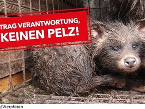 Engelhorn tritt dem Fur Free Retailer Program bei VIER PFOTEN begrüßt das Mannheimer Mode- und Sportunternehmen in der Pelzfrei-Initiative Engelhorn tritt dem Fur Free Retailer Program bei VIER PFOTEN begrüßt das Mannheimer Mode- und Sportunternehmen in der Pelzfrei-Initiative