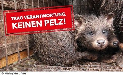 Engelhorn tritt dem Fur Free Retailer Program bei VIER PFOTEN begrüßt das Mannheimer Mode- und Sportunternehmen in der Pelzfrei-Initiative