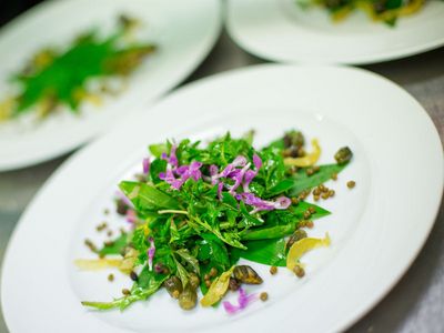 Inge Waltls Fruehlingskraeutersalat