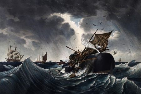 "Auf den Spuren von Moby Dick" - Was Herman Melville zu seinem Erfolgsroman inspirierte