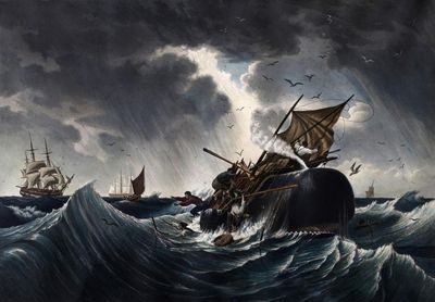 "Auf den Spuren von Moby Dick" - Was Herman Melville zu seinem Erfolgsroman inspirierte