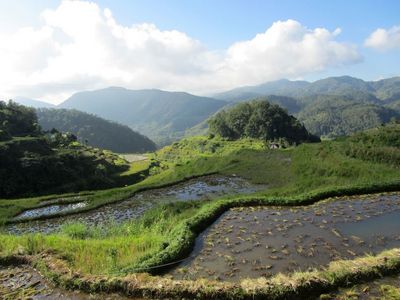 Djoser Reisen Philippinen Banaue Reisterassen