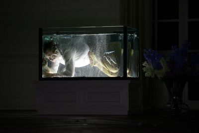Gebannt starrt man mit schaudernder Faszination auf die immer schizoider werdende Meerfrau.