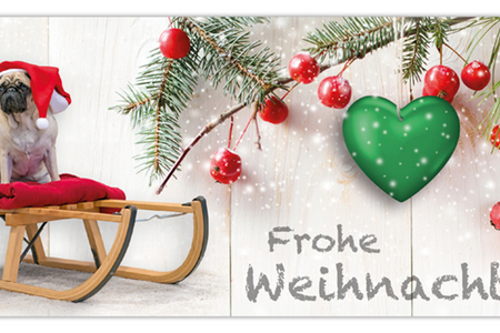 Unser Redaktions Weihnachts-Mops Adele wuenscht Euch frohe Weihnachten und einen guten Rutsch ins neue Jahr