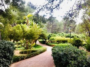 Ein Ausflug vom Hotel Cort fuehrt Palma-Urlauber in die Jardins de Marivent, die zur Sommerresidenz des spanischen Koenigs auf Mallorca gehoeren Ein Ausflug vom Hotel Cort fuehrt Palma-Urlauber in die Jardins de Marivent, die zur Sommerresidenz des spanischen Koenigs auf Mallorca gehoeren