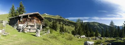 Wellness im Wald Wellness im Wald