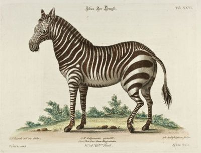 herzkammer ausstellung koeln herzkammer ausstellung koeln