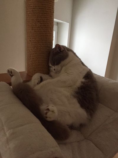 Molly kann ueberall knacken