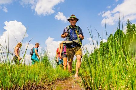 Mit dem Butler durch das Moor: Barfuß erleben Wanderer die Natur hautnah