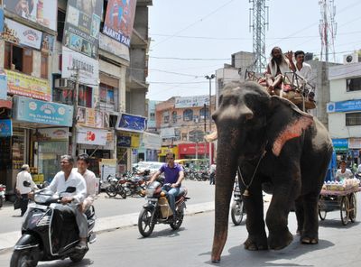 Reisen Indien Udaipur Reisen Indien Udaipur