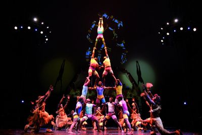 AFRIKA AFRIKA ist eine bunte Show AFRIKA AFRIKA ist eine bunte Show