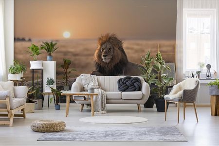Exotische Fototapeten mit Wildtieren schmuecken ihr Wohnzimmer