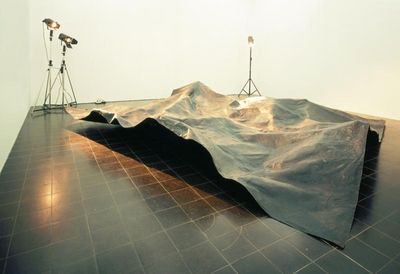 Michael Sailstorfer werkschau