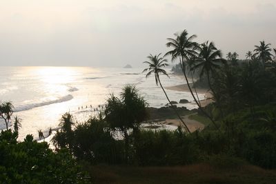 Reisen Barberyn Resort Ayurveda Ausblick auf den Strand