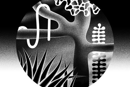 Neuaufnahme von Cerrones Supernature