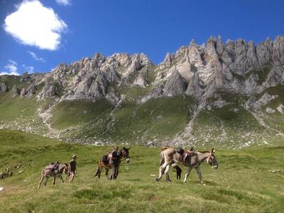 Digital Detox Urlaub mit Tieren in der Schweitz ohne WLAN