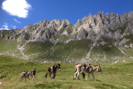 Digital Detox Urlaub mit Tieren in der Schweitz ohne WLAN