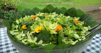 Rohkostwerk Salata Schweden