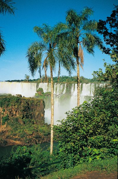 Reisen Brasilien Ruppert Iguacu Faelle Reisen Brasilien Ruppert Iguacu Faelle