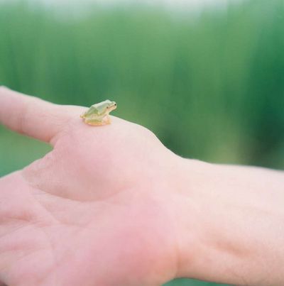 Rinko Kawauchi wien