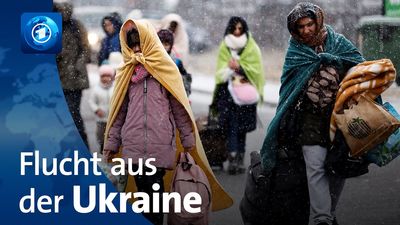 Deutschland hat von allen Nicht-Anrainerstaaten mit Abstand die meisten Flüchtlinge aus Ukraine aufgenommen (780.000)