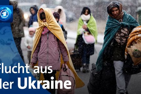 Deutschland hat von allen Nicht-Anrainerstaaten mit Abstand die meisten Flüchtlinge aus Ukraine aufgenommen (780.000)