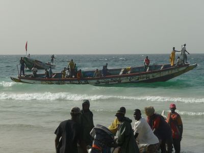 Senegal Fischer