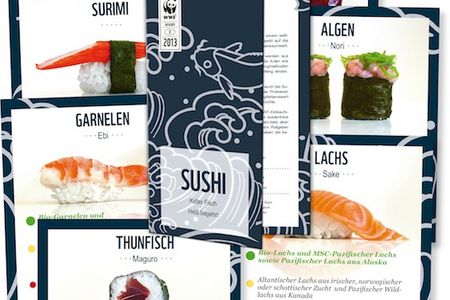 Der erste Sushi-Ratgeber des WWF verrät jetzt mittels Ampelsystem, welche der japanischen Fischhäppchen man mit gutem Gewissen genießen kann.