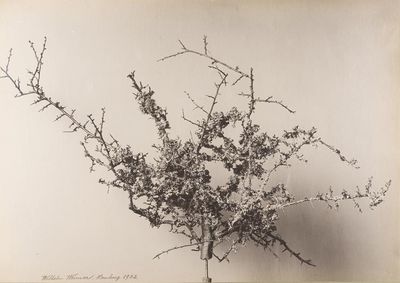 ausstellung hamburg